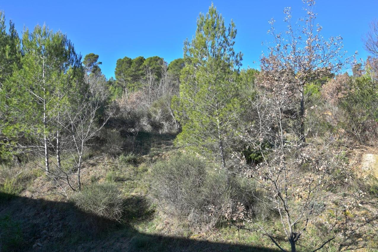 L'Oustaou Du Luberon Et Spa Villelaure Екстериор снимка