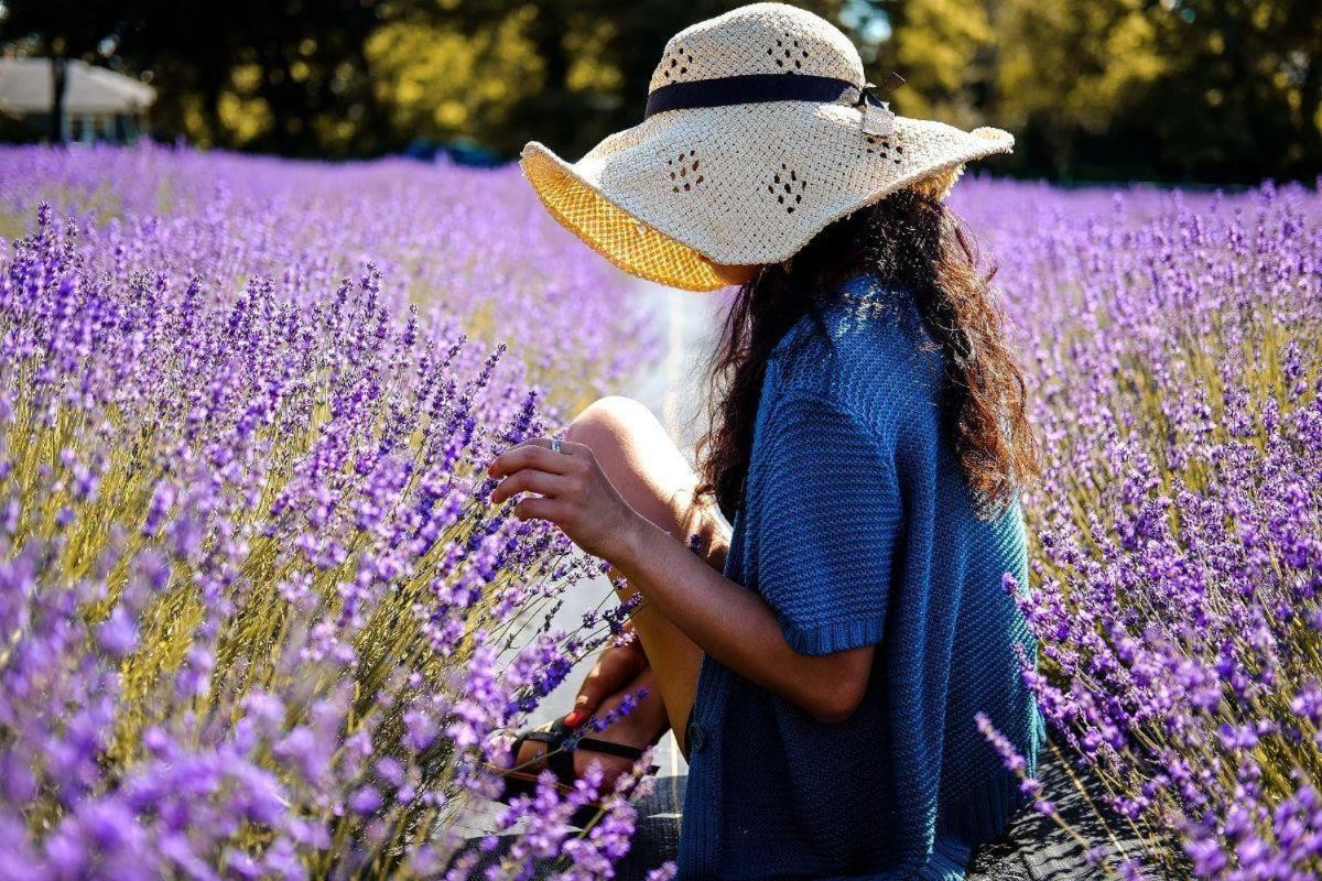 L'Oustaou Du Luberon Et Spa Villelaure Екстериор снимка