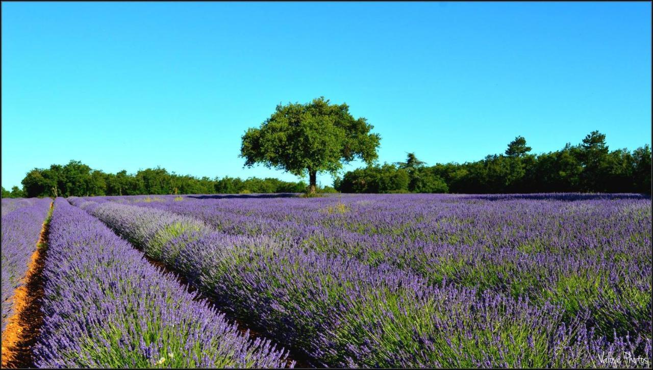 L'Oustaou Du Luberon Et Spa Villelaure Екстериор снимка